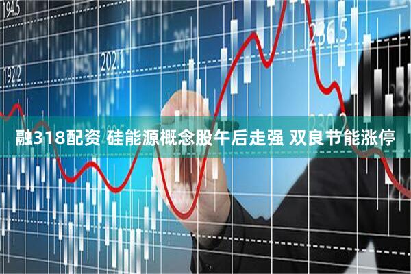 融318配资 硅能源概念股午后走强 双良节能涨停